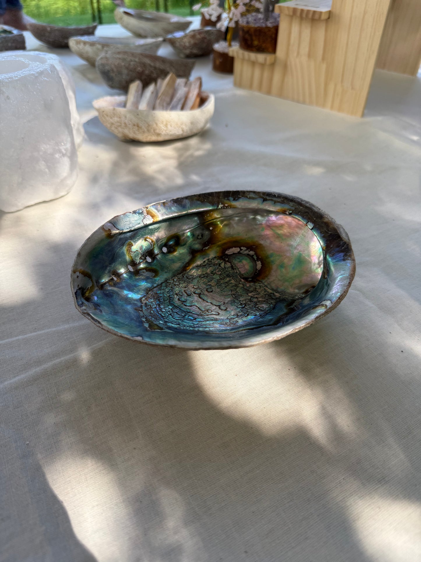 Groene Abalone Smudge Schelp