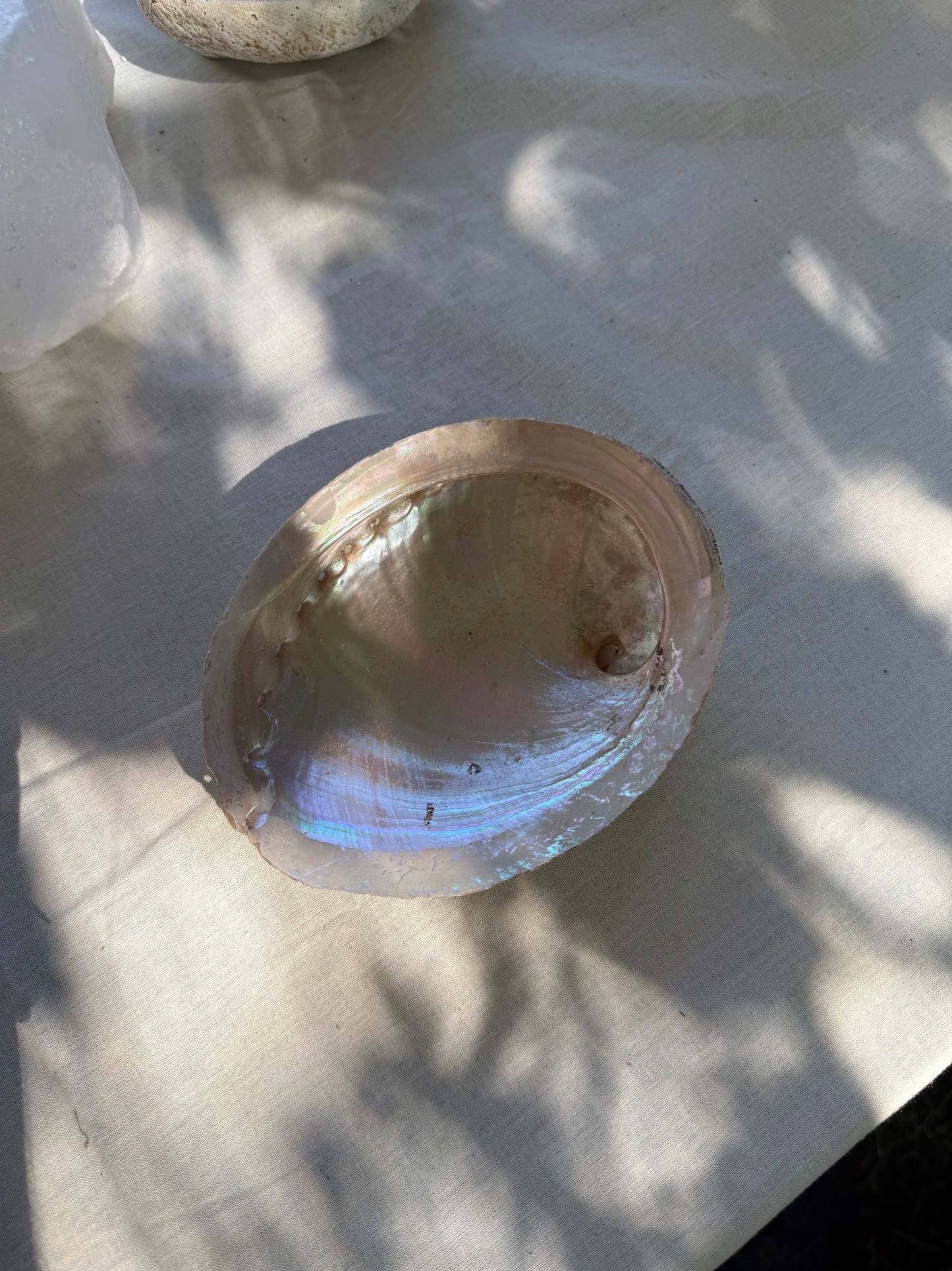 Abalone Smudge Schelp